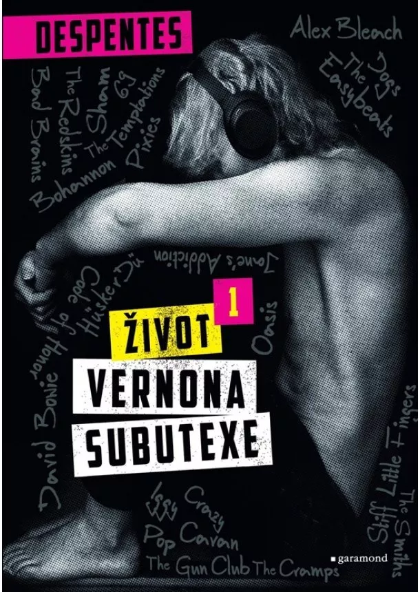 Virginie Despentes - Život Vernona Subutexe 1