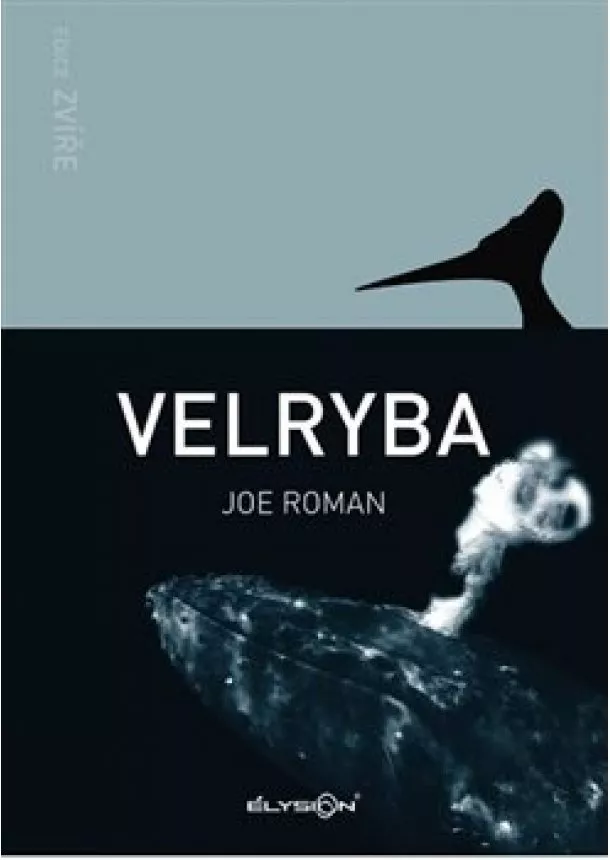 Joe Roman - Velryba