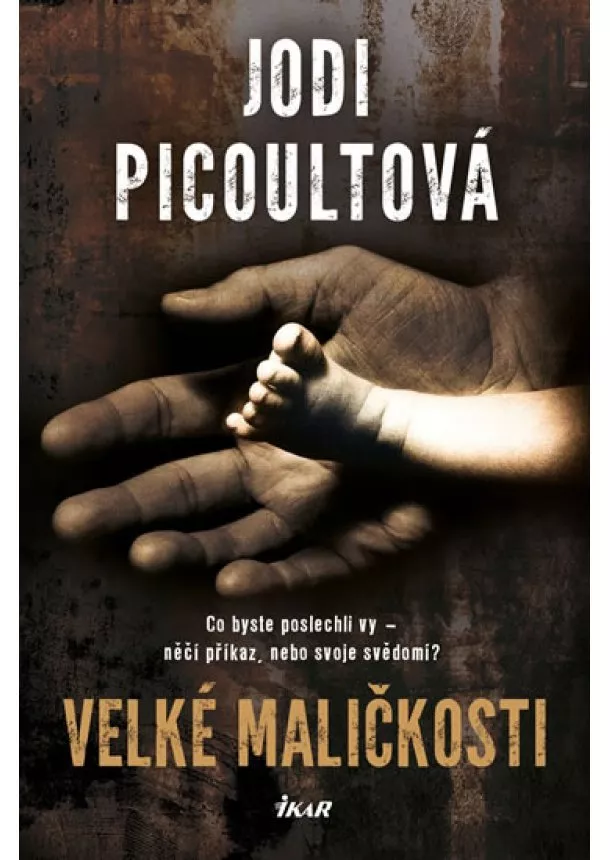 Jodi Picoultová - Velké maličkosti