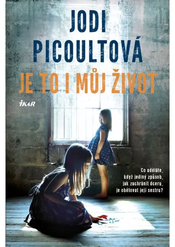 Jodi Picoultová - Je to i můj život