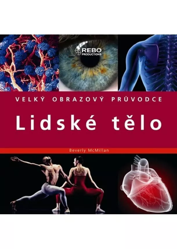 Beverly McMillan - Lidské tělo - Velký obrazový průvodce