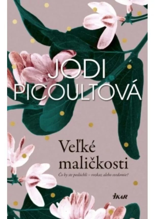 Picoultová Jodi - Veľké maličkosti