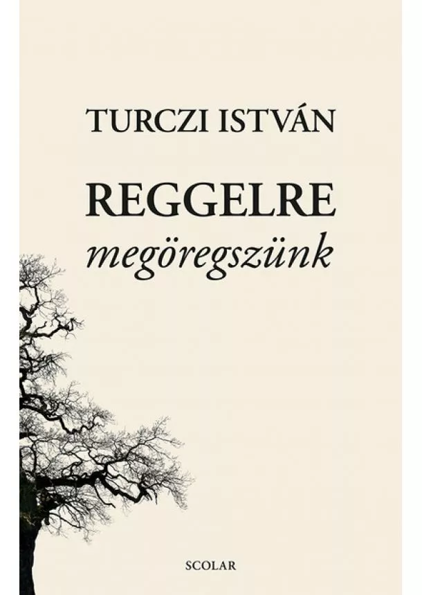 Turczi István - Reggelre megöregszünk