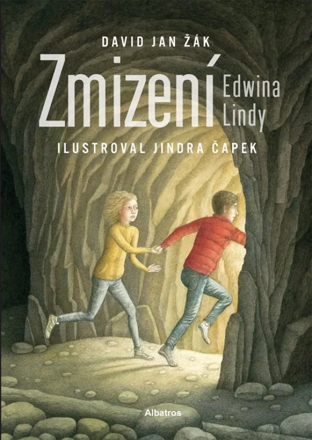 Jindra Čapek, David Jan Žák - Zmizení Edwina Lindy