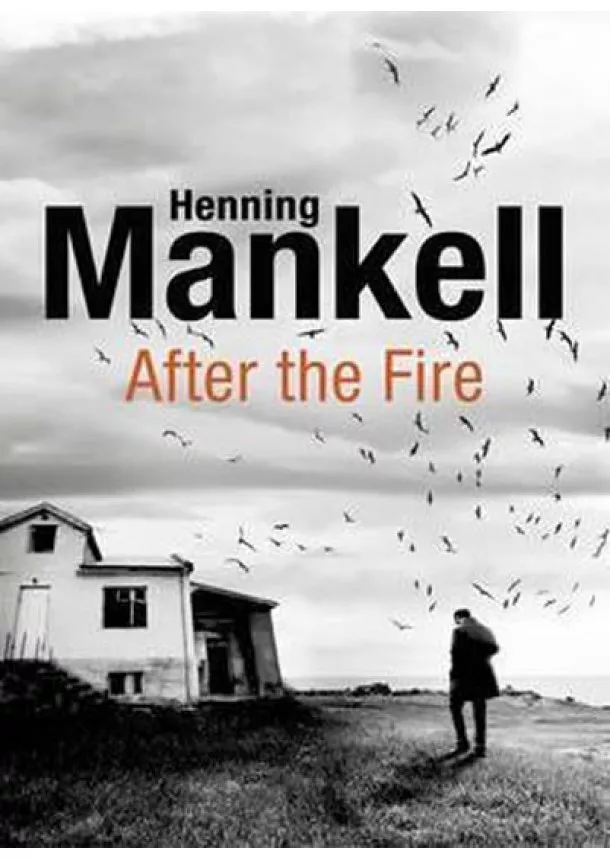 Henning Mankell - After the Fire