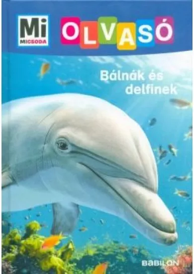 Bálnák és delfinek - Mi MICSODA Olvasó