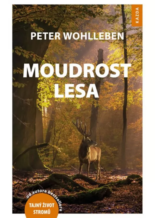 Peter Wohlleben - Moudrost lesa