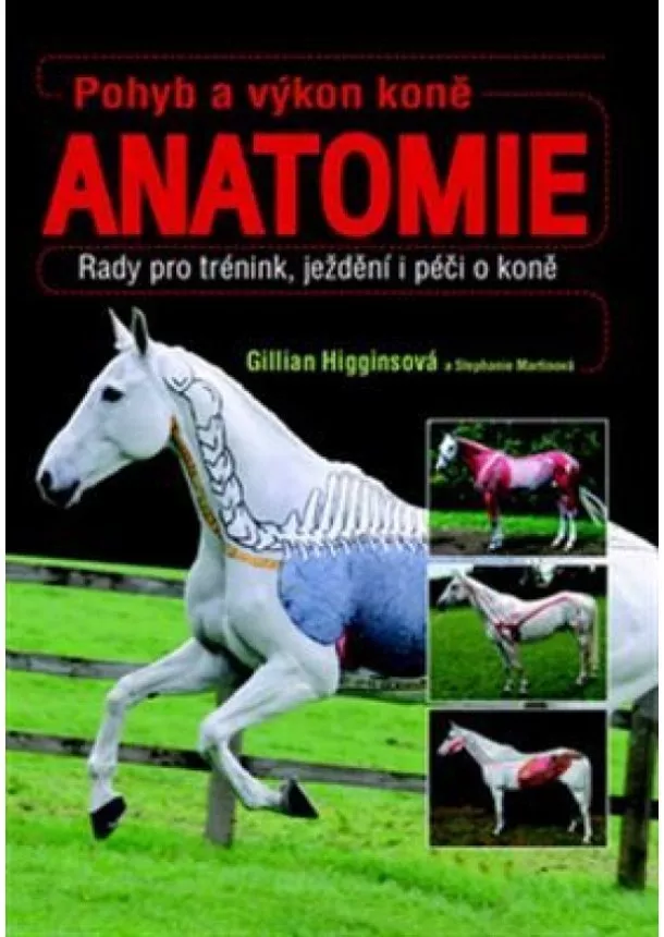 Gillian Higginsová - Pohyb a výkon koně - Anatomie