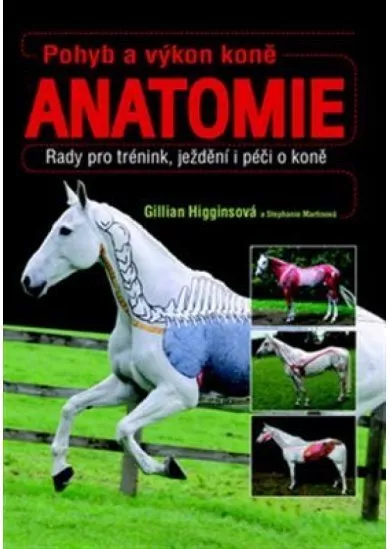 Pohyb a výkon koně - Anatomie