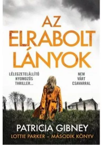 Az elrabolt lányok - Lottie Parker 2.