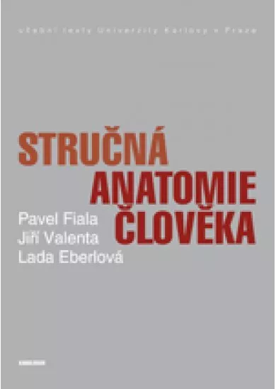 Stručná anatomie člověka