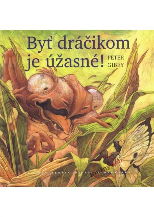 Peter Gibey - Byť dráčikom je úžasné!