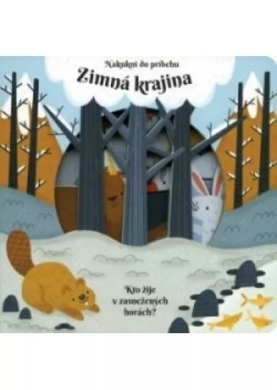 Zimná krajina-nakukni do príbehu