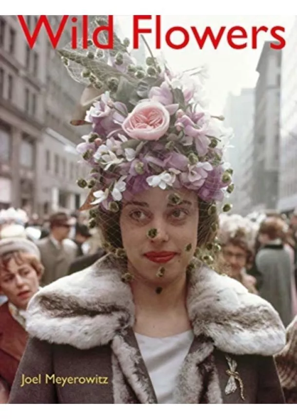 Joel Meyerowitz - Joel Meyerowitz: Wild Flowers