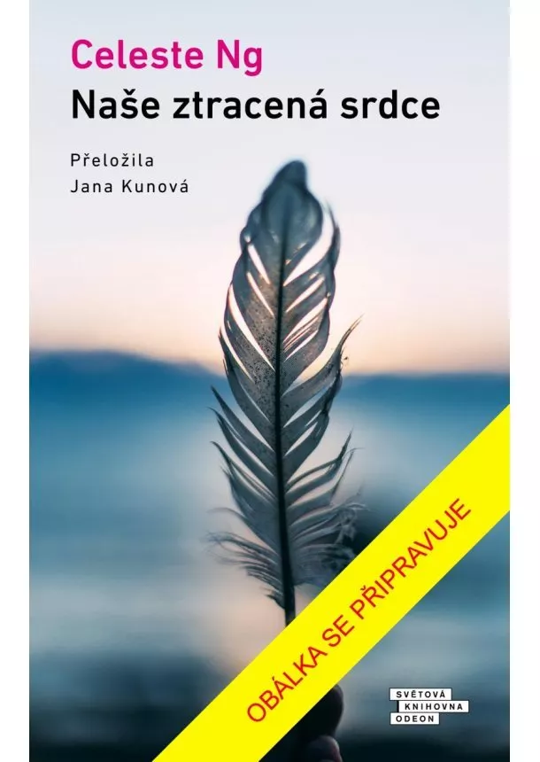 Celeste Ng - Naše ztracená srdce