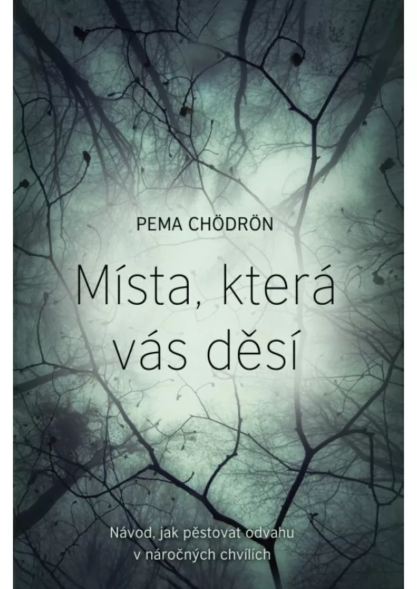 Pema Chödrön - Místa, která vás děsí - Návod, jak pěstovat odvahu v náročných chvílích