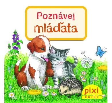 Poznávej mláďata