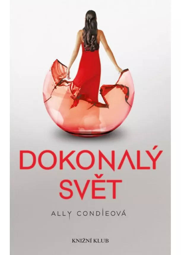 Ally Condieová - Matched 3: Dokonalý svět