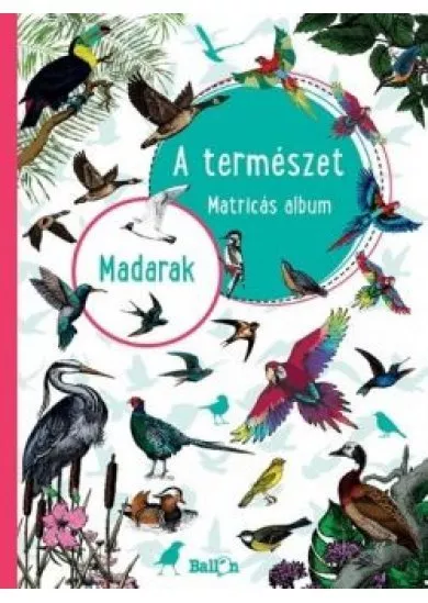 A természet - Madarak