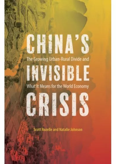 Chinas Invisible Crisis