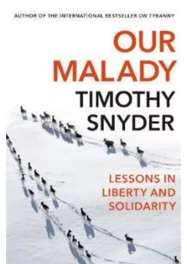 Timothy Snyder - Our Malady