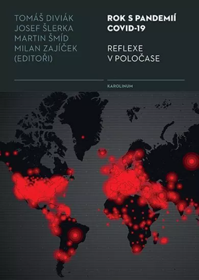 Rok s pandemií covid-19 Reflexe v poločase