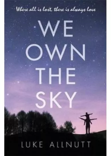 We Own the Sky