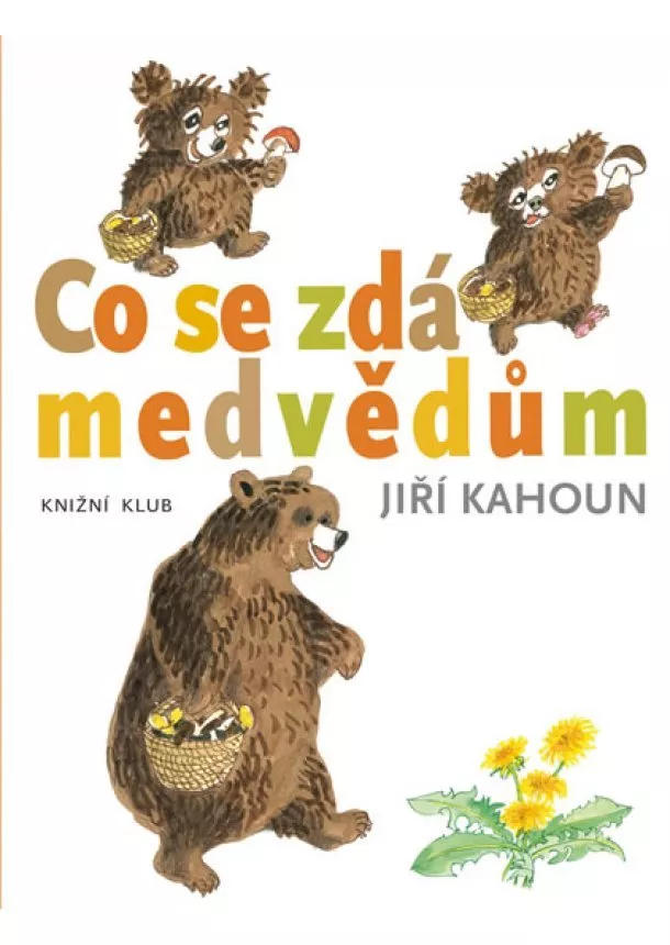 Jiří Kahoun - Co se zdá medvědům