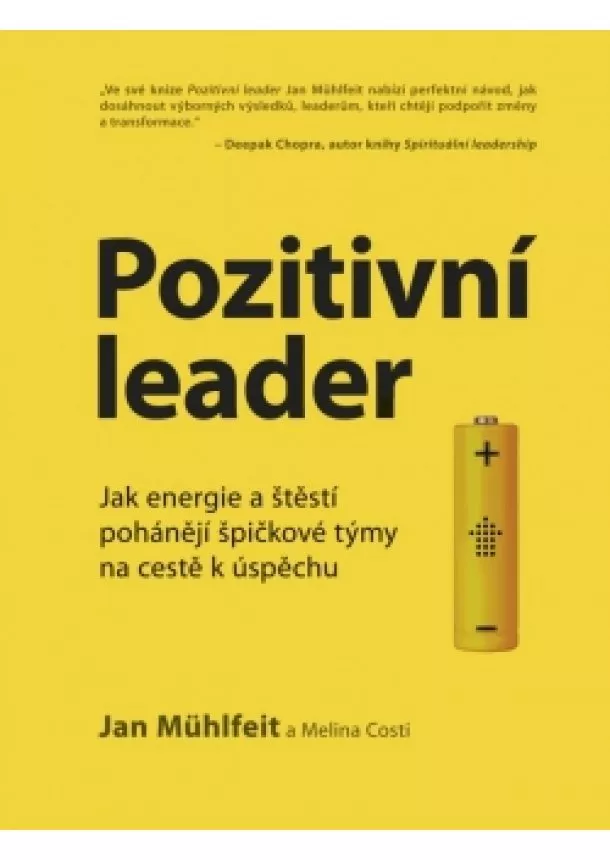 Jan Mühlfeit - Pozitivní leader