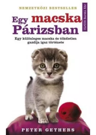 Egy macska Párizsban - Egy különleges macska és tökéletlen gazdija igaz története