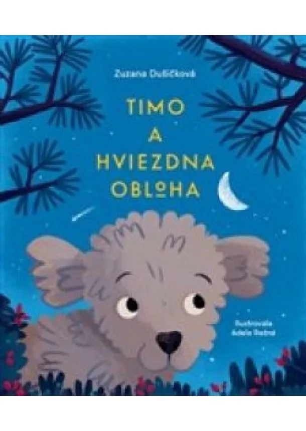 Zuzana Dušičková - Timo a hviezdna obloha