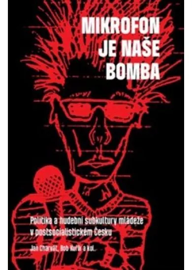 Mikrofon je naše bomba - Politika a hudební subkultury mládeže