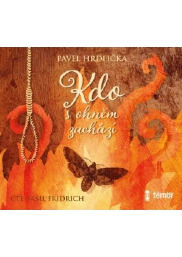 Pavel Hrdlička , EUROMEDIA GROUP - Pavel Hrdlička:  Kdo s ohněm zachází (čte Vasil Fridrich) - MP3-CD