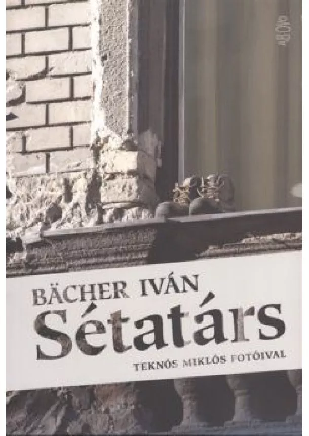 Bacher Iván - Sétatárs