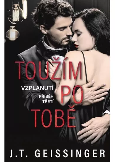 Toužím po tobě