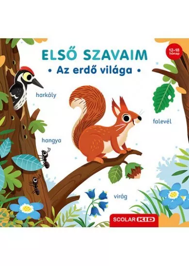 Első szavaim - Az erdő világa