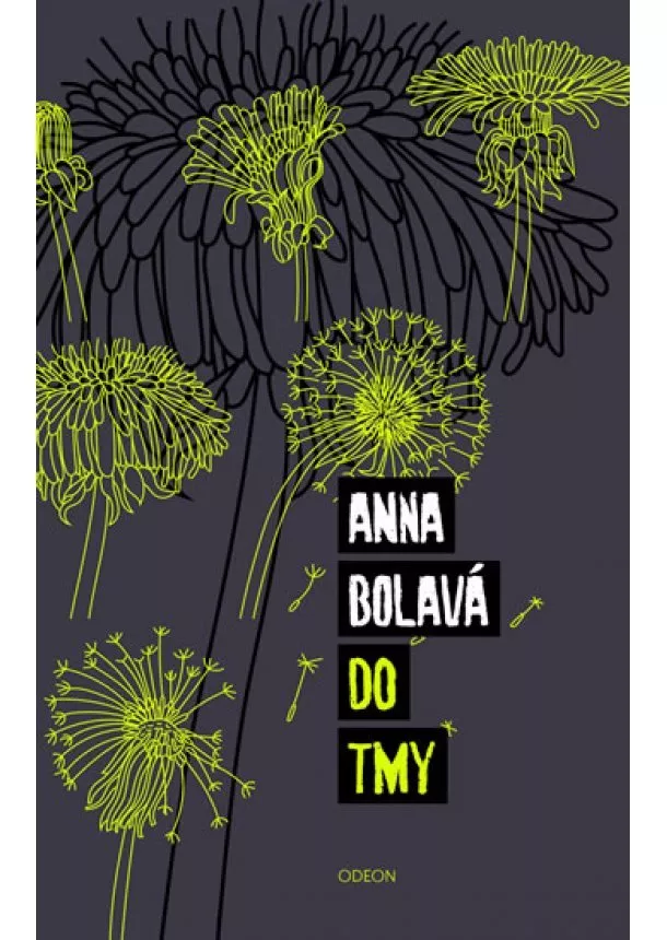 Anna Bolavá - Do tmy