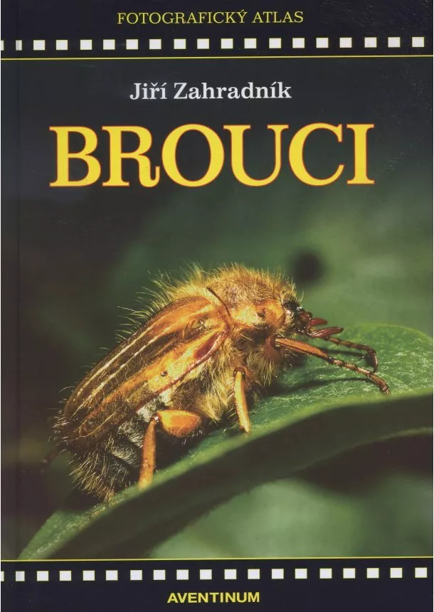 Jiří Zahradník - Brouci