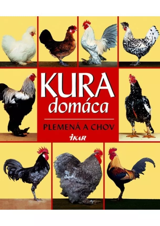 Kolektív - Kura domáca - plemená a chov