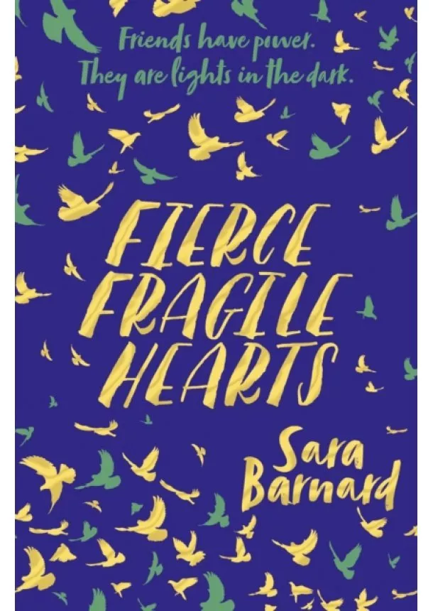 Sara Barnard - Fierce Fragile Hearts