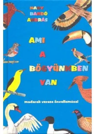 AMI A BÖGYÜNKBEN VAN