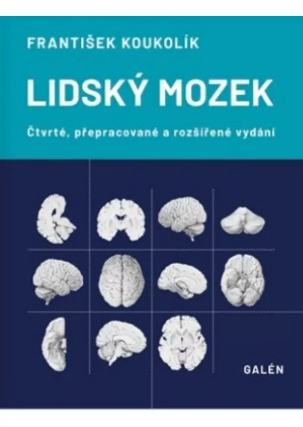 František Koukolík  - Lidský mozek (Čtvrté, přepracované a rozšířené vydání)