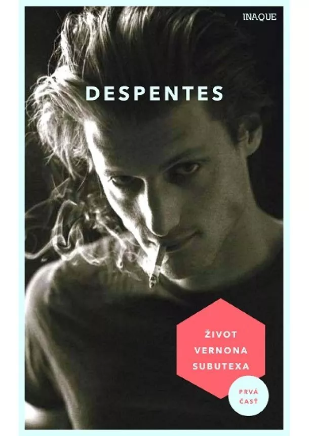 Virginie Despentes - Život Vernona Subutexa 1