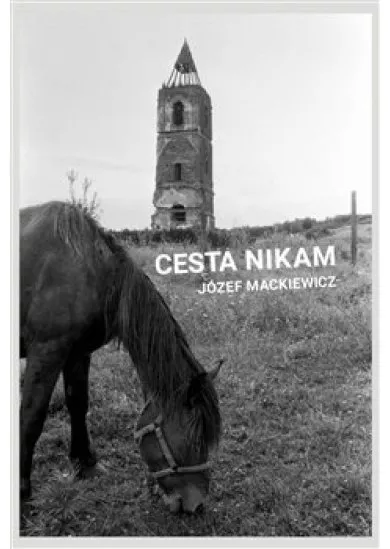 Cesta nikam