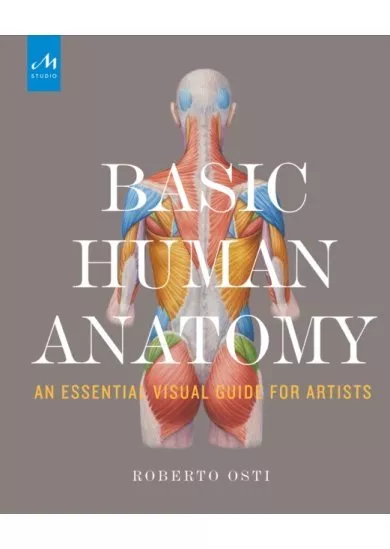 Basic Human Anatomy