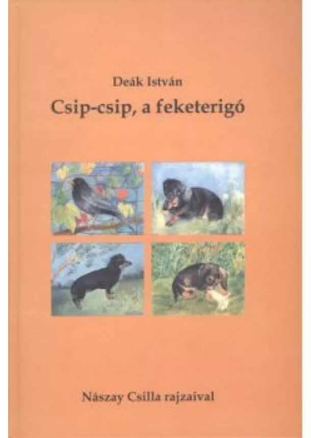 DEÁK ISTVÁN - CSIP-CSIP, A FEKETERIGÓ