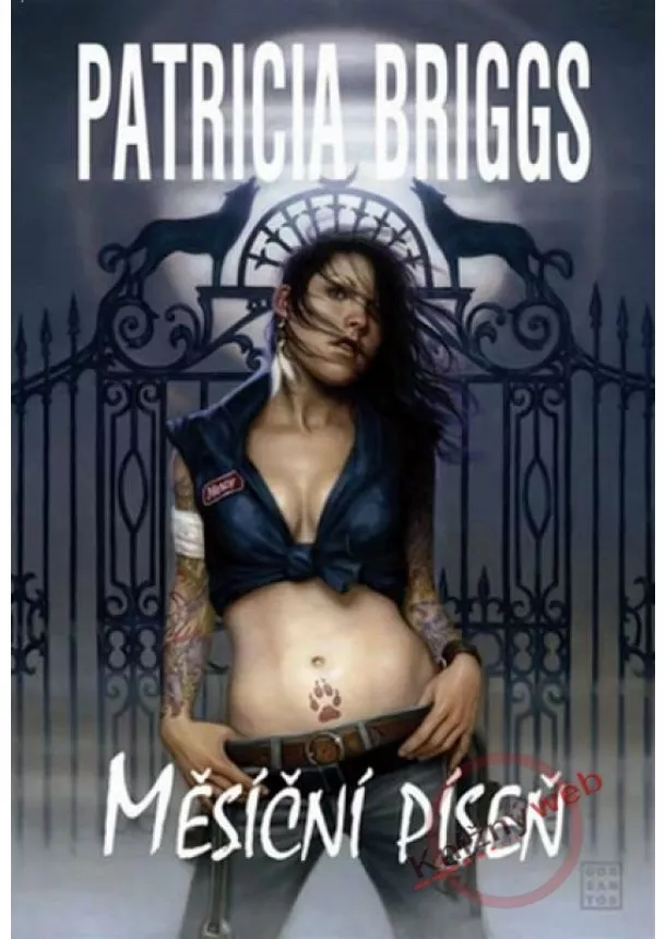 Patricia Briggs  - Měsíční píseň - Mercedes Thompson 1