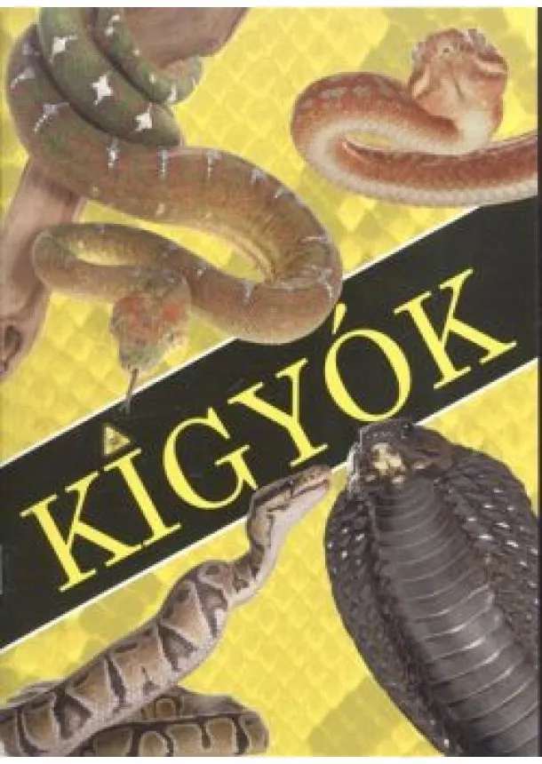 KRAJNIK BÍRÓ SÁRA - KÍGYÓK