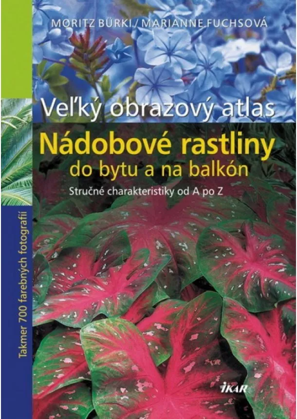 Kolektív - Veľký obrazový atlas - Nádobové rastliny do bytu a na balkón