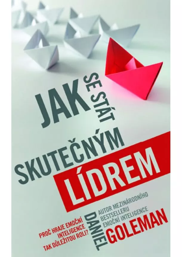 Goleman Daniel - Jak se stát skutečným lídrem